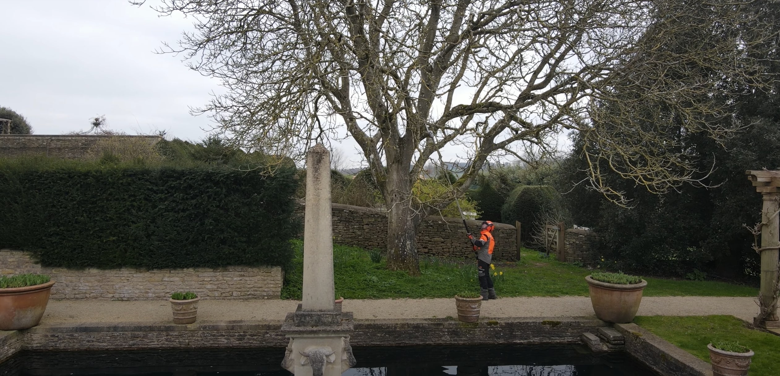 Expert tree trimming and pruning in Arlington Heights, IL