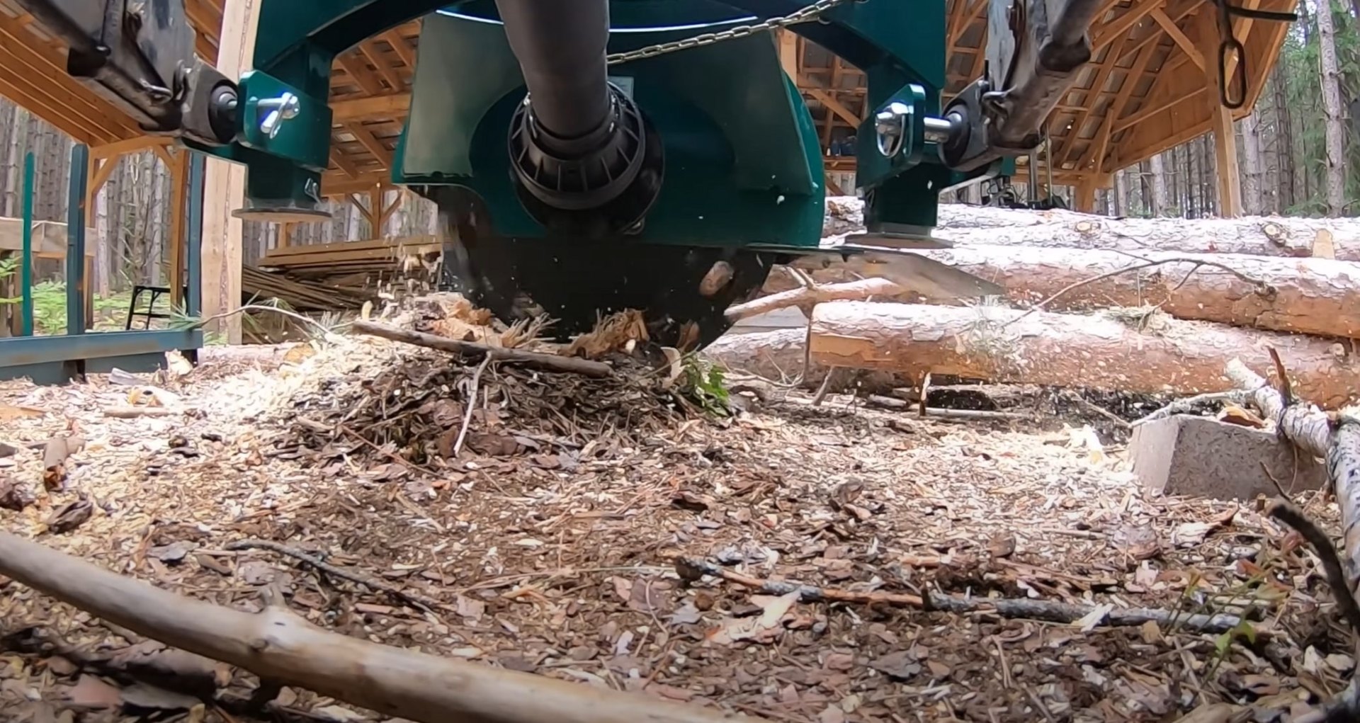 Stump Grinding Services - Complete Tree Removal Professional stump grinding equipment in action, converting tree stump into wood chips